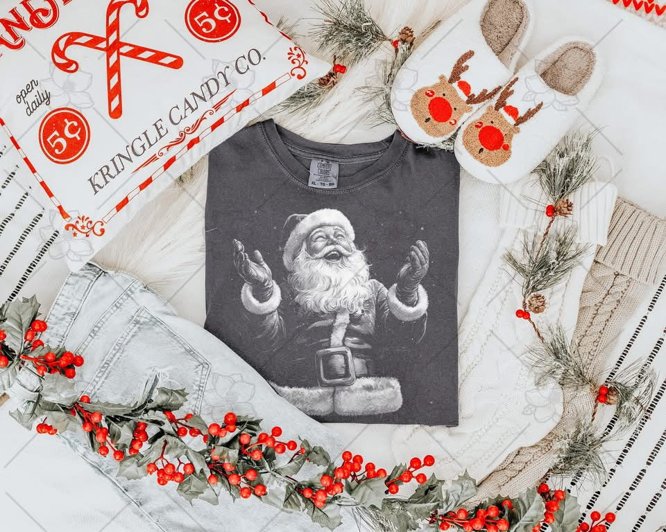 Viral Santa - Multiple Sizes
