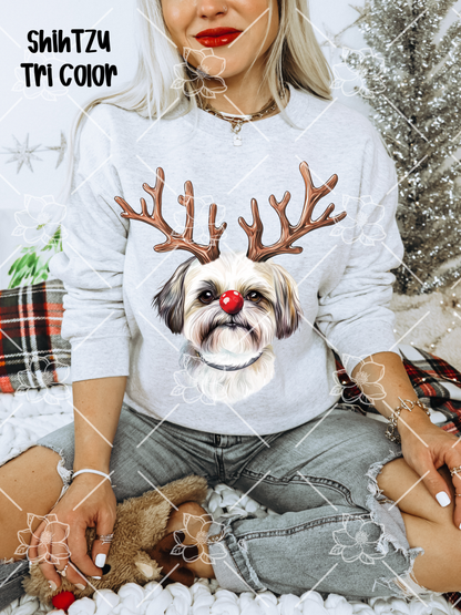 C89 Reindeer Dogs - Breed Dropdown