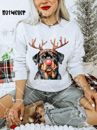 C89 Reindeer Dogs - Breed Dropdown