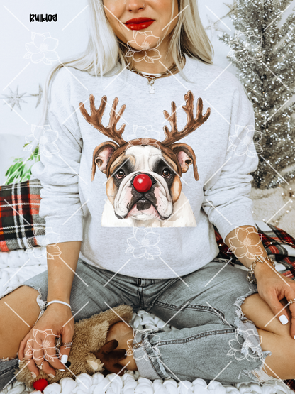 C89 Reindeer Dogs - Breed Dropdown