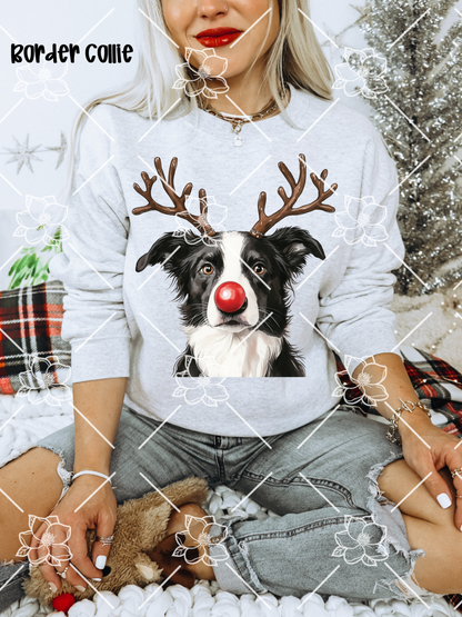 C89 Reindeer Dogs - Breed Dropdown