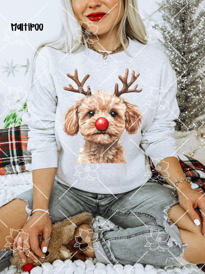 C89 Reindeer Dogs - Breed Dropdown
