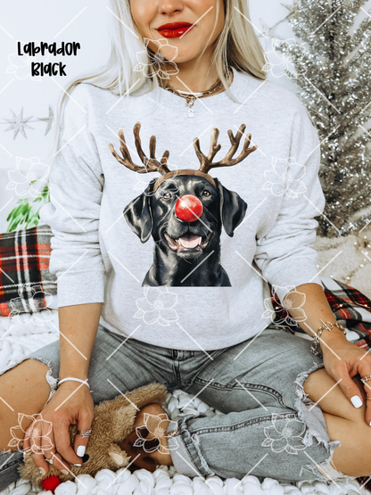 C89 Reindeer Dogs - Breed Dropdown