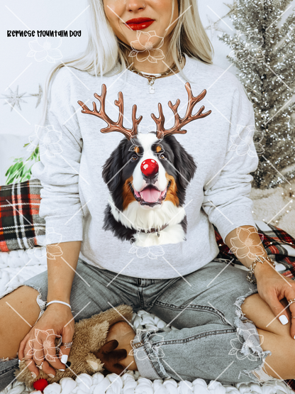 C89 Reindeer Dogs - Breed Dropdown