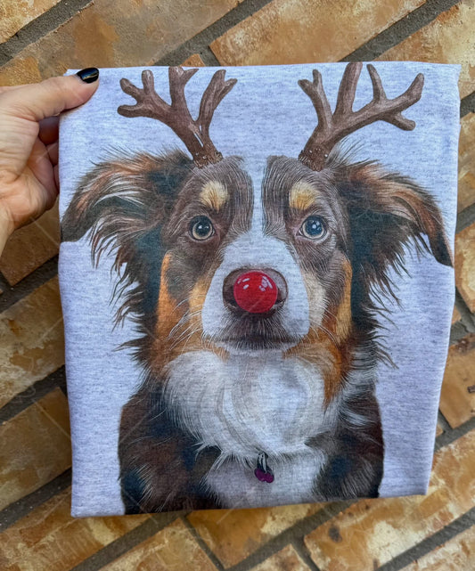 C89 Reindeer Dogs - Breed Dropdown