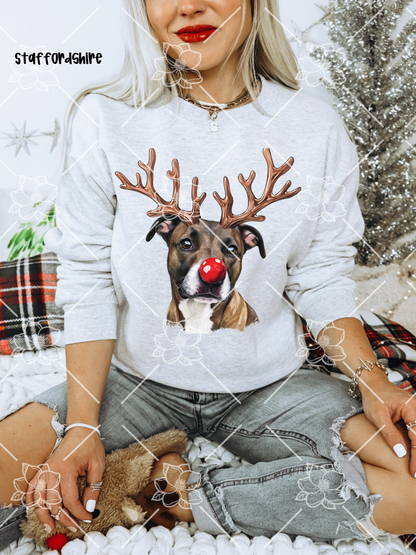 C89 Reindeer Dogs - Breed Dropdown