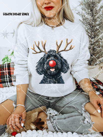 C89 Reindeer Dogs - Breed Dropdown