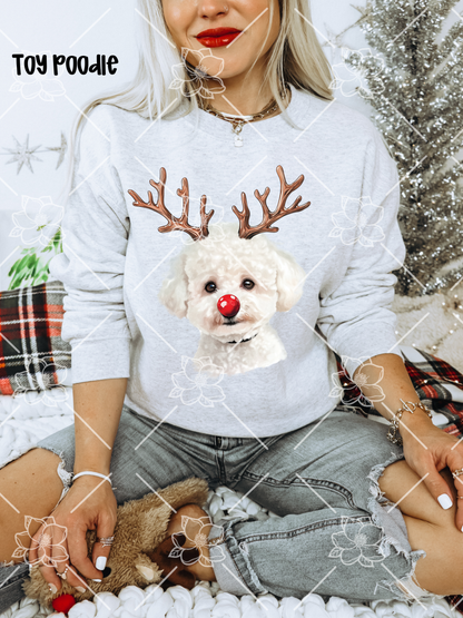 C89 Reindeer Dogs - Breed Dropdown