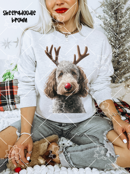 C89 Reindeer Dogs - Breed Dropdown