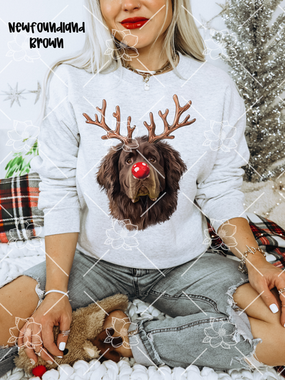 C89 Reindeer Dogs - Breed Dropdown